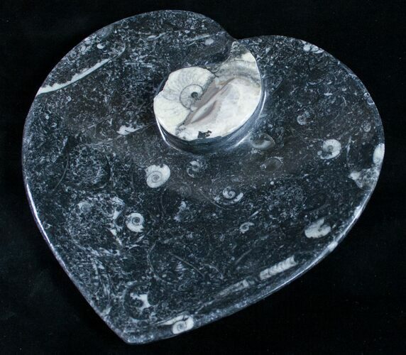 Heart Shaped Fossil Goniatite Dish #9008